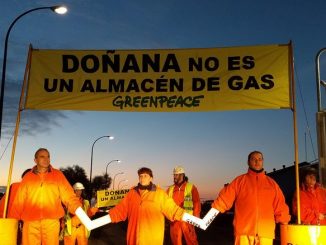 EL PSOE PIDE PARALIZAR LOS PROYECTOS DE GAS EN DOÑANA