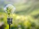 ¿Transición Energética, solución a la crisis mundial?